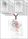 Proteomics - Proteome Analysis