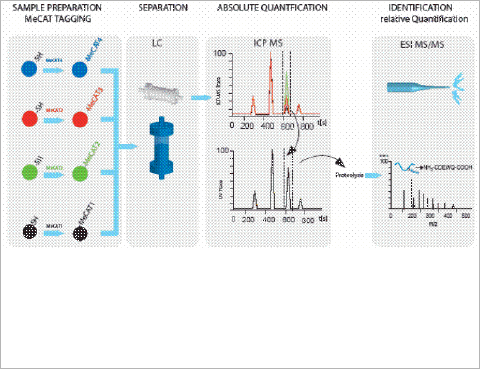Example MeCAT Workflow