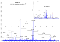 Protein identification by MSMS